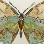 Butterfly Collage Art