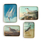 Sea Bird Metal Trinket/Desk Trays