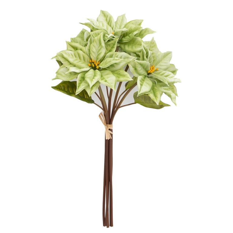 18 Inch Light Green Poinsettia Stem Bundle