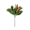 Magnolia Leaf Spray