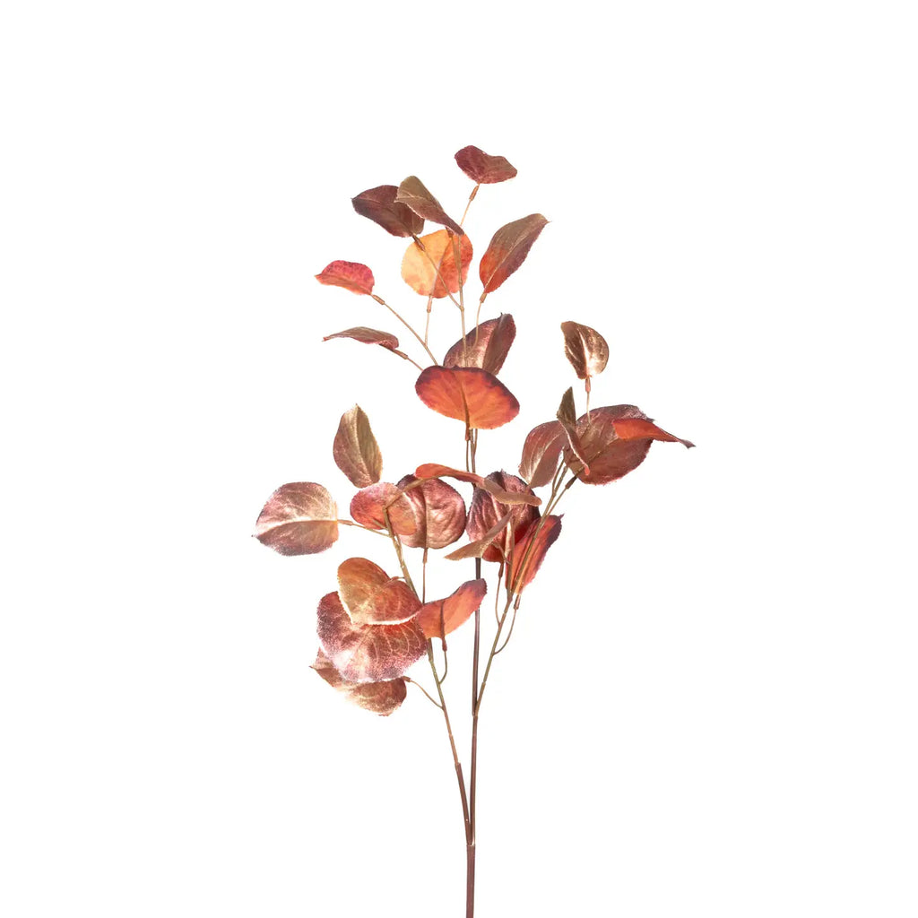 Ombre Leaf Spray