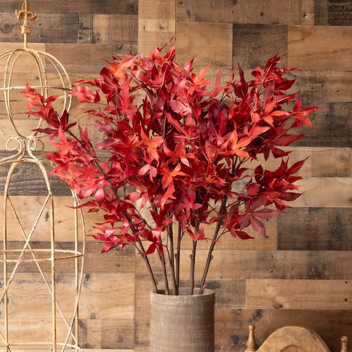 Japanese Maple Leaf Branch