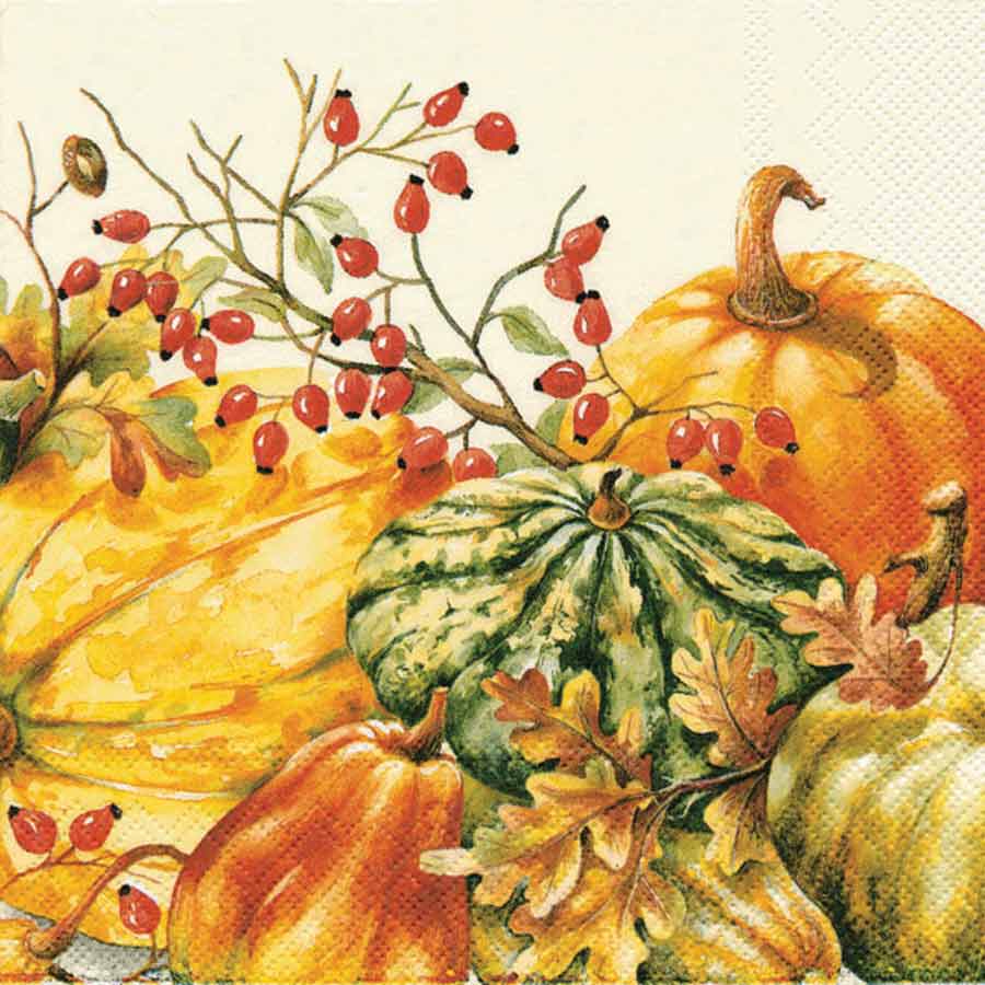 Cocktail Napkin Calabaza Cream