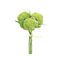11 Inch Green Sedum Bundle