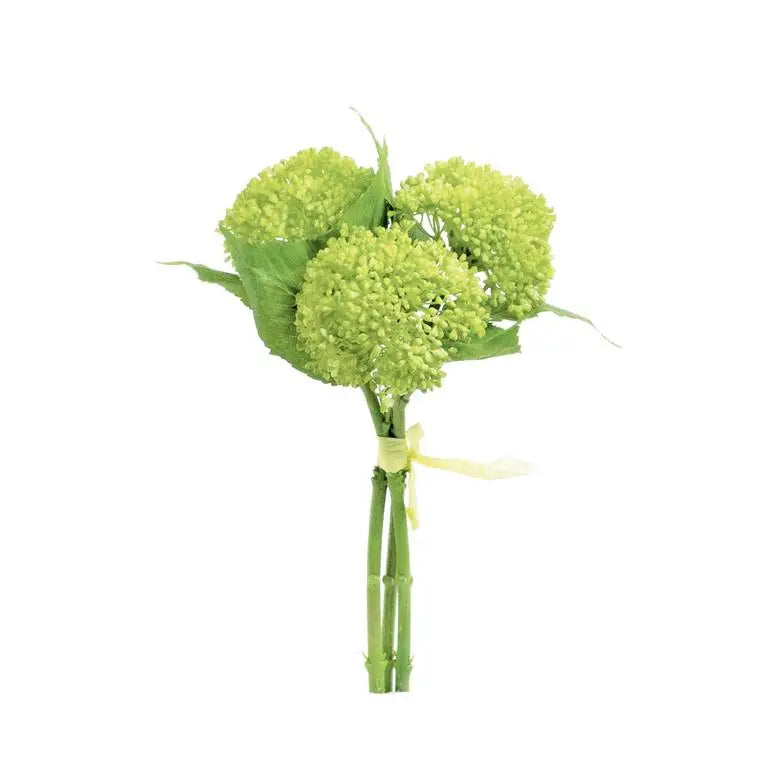 11 Inch Green Sedum Bundle