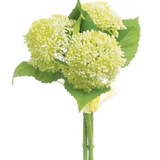 11 Inch White/yellow Sedum Bundle