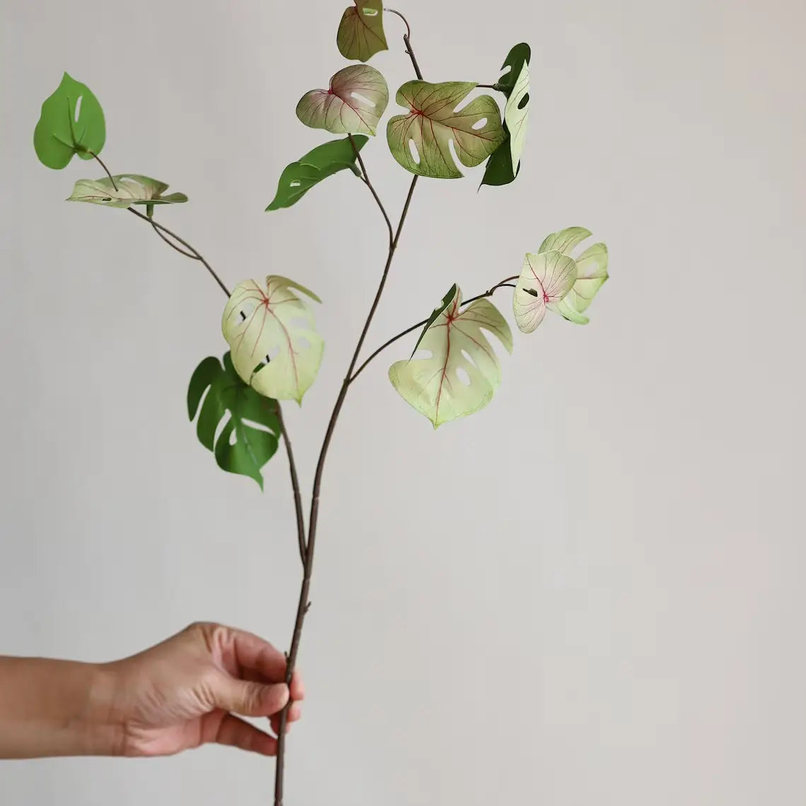 27 Inch Monstera Spray