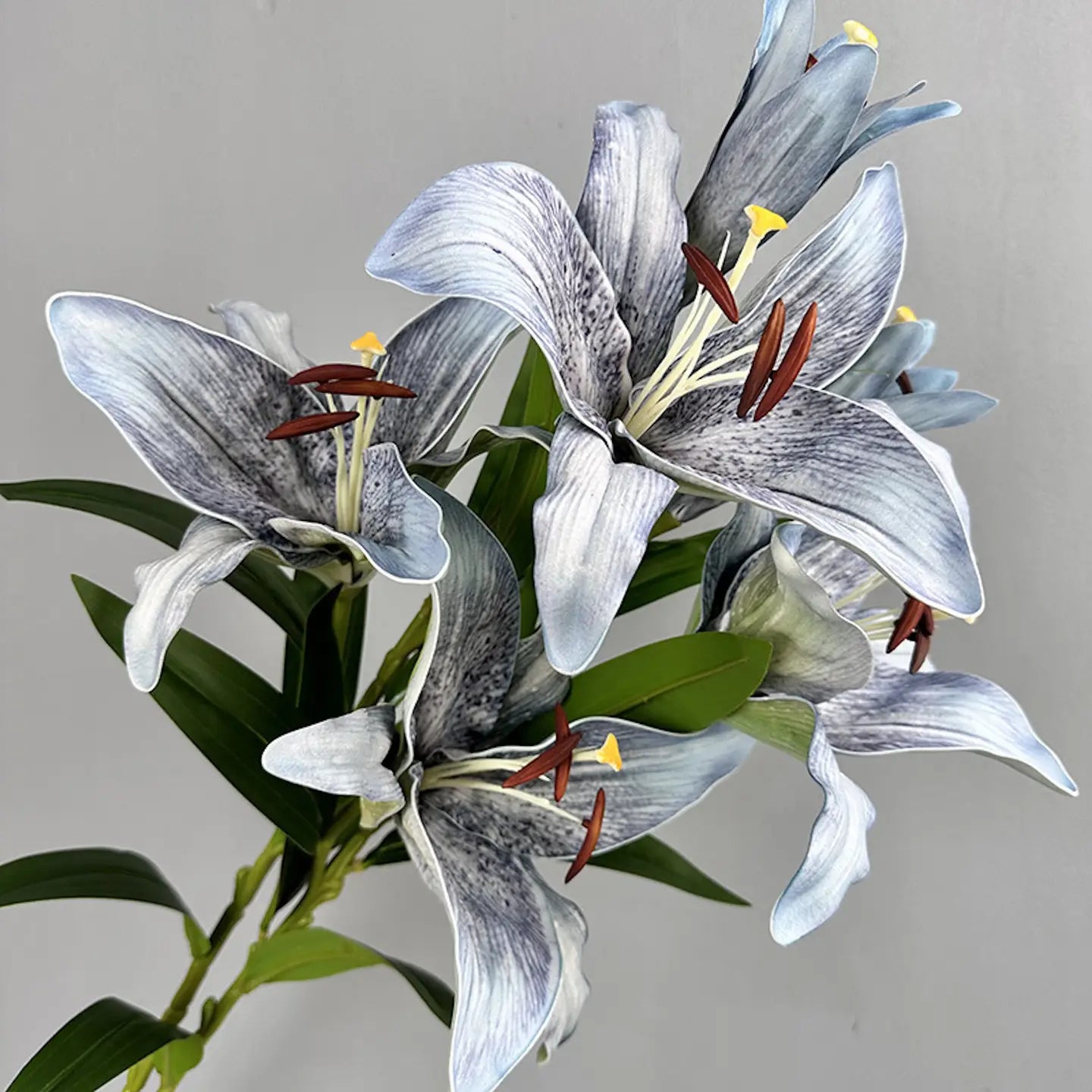 Large Bloom Lily 3 Flowers Per Stem