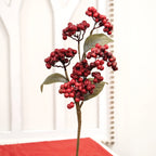 Berry Cluster Spray