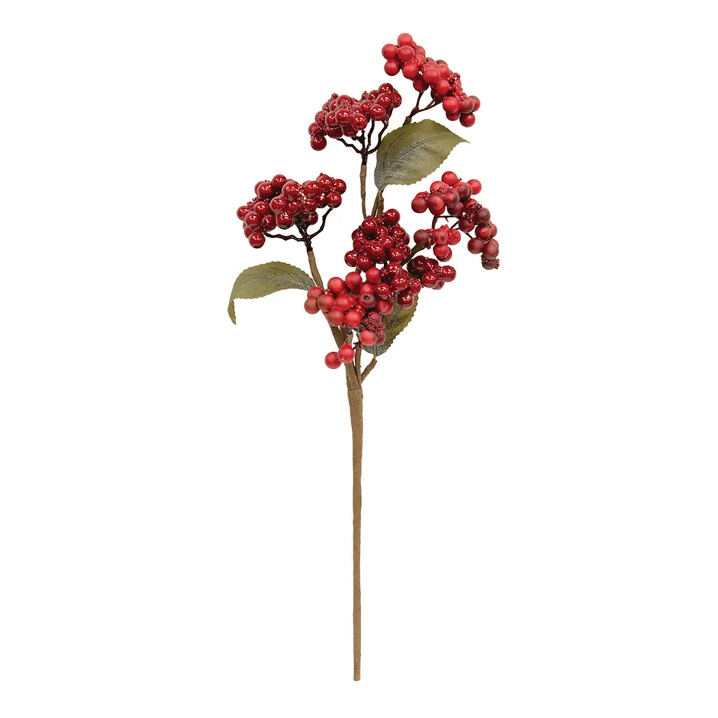 Berry Cluster Spray