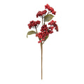 Berry Cluster Spray