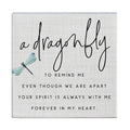Dragonfly To Remind Block