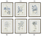 Assorted 23.75 Inch Black & Gold Framed Blue Arbor Prints