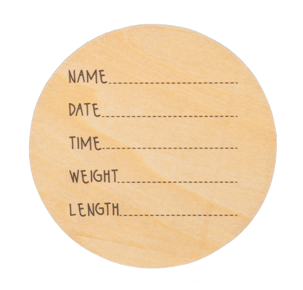 Wooden Photo Milestone Props