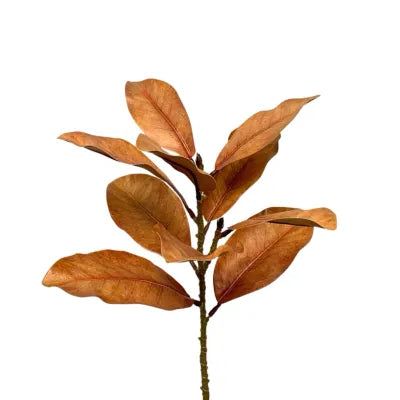 Brown Magnolia Leaf Spray