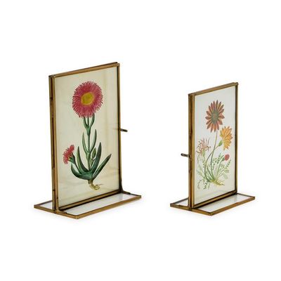 Double Sided Metal Frame