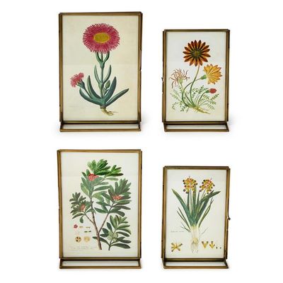 Double Sided Metal Frame