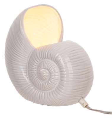 Glass Shell Accent Lamp