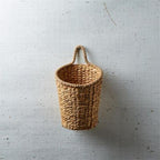 Hanging Storage Planter Basket
