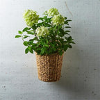 Hanging Storage Planter Basket