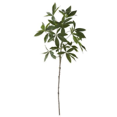 36 Inch Money Tree Branch