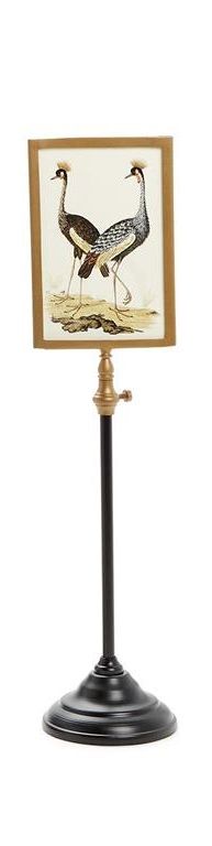 Photo Frames With Telescoping Pole