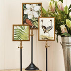 Photo Frames With Telescoping Pole