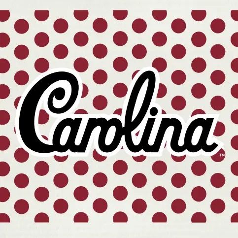 Wet-it Sweedish Cloths