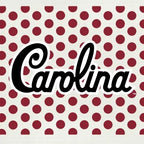 Wet-it Sweedish Cloths