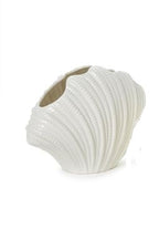 White Shell Vases